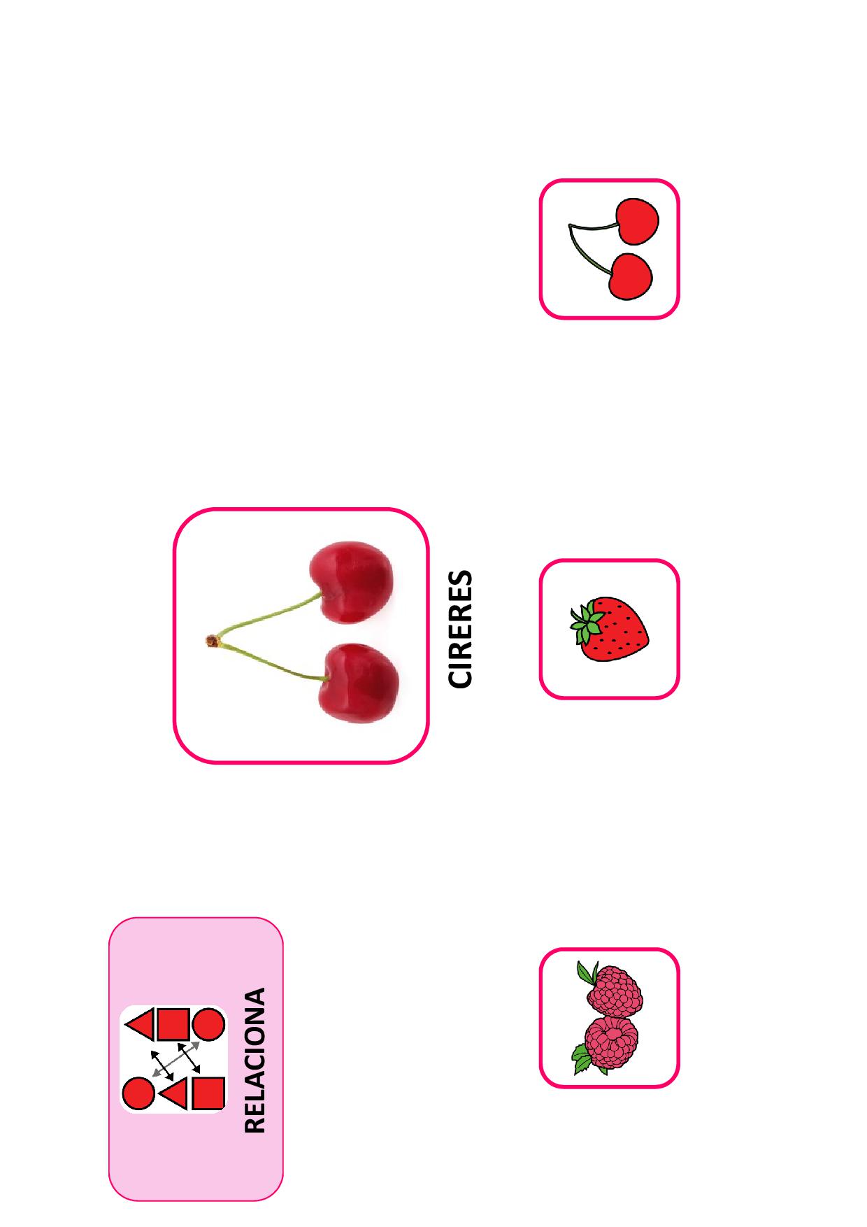 La Primavera - Activitats interactives